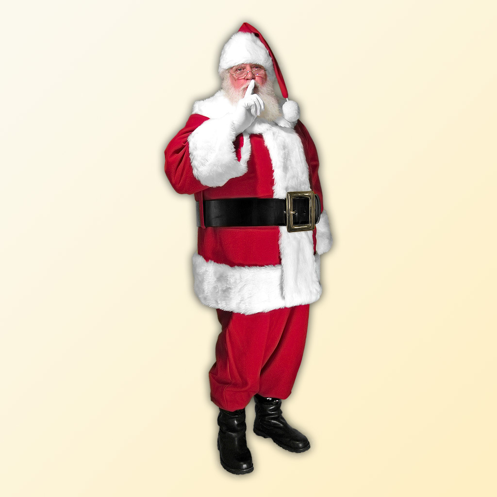 (D) Mall Professional Santa Claus Suit